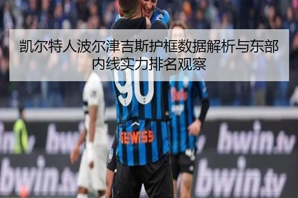 凯尔特人波尔津吉斯护框数据解析与东部内线实力排名观察